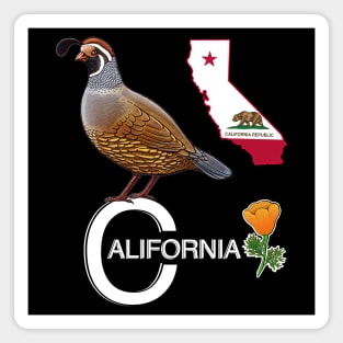 California quail state bird Californian poppy flowers Magnet